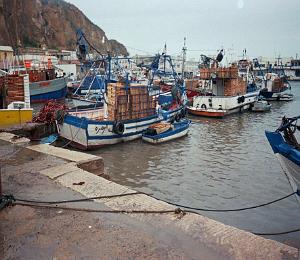 oran 019